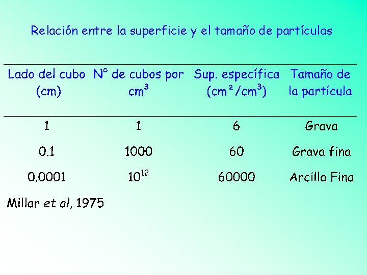 Relación entre la superficie y el tamaño de partículas 