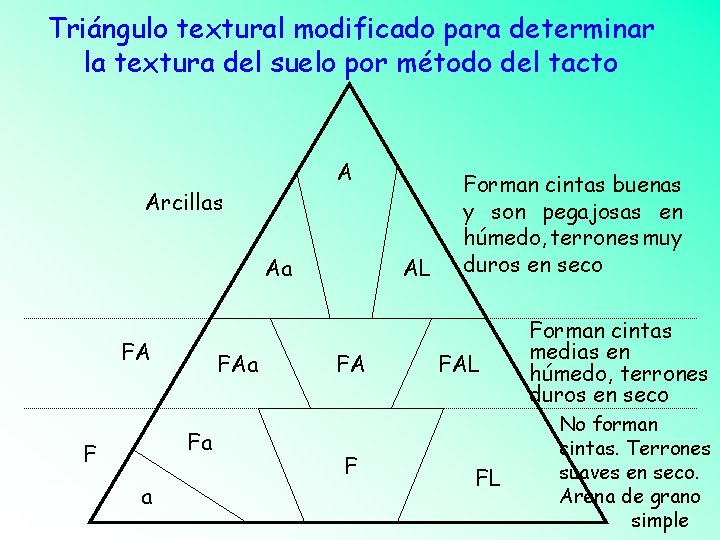 Triángulo textural modificado para determinar la textura del suelo por método del tacto A