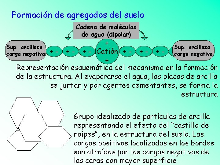 Formación de agregados del suelo Cadena de moléculas de agua (dipolar) + Sup. arcillosa