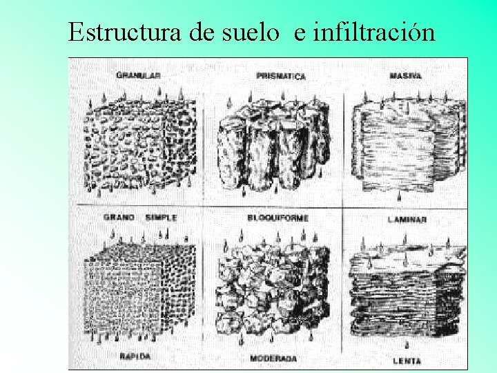 Estructura de suelo e infiltración 