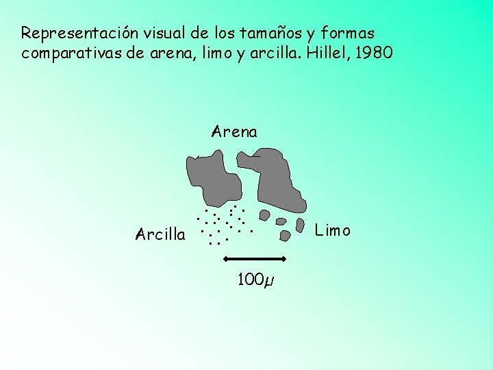 Representación visual de los tamaños y formas comparativas de arena, limo y arcilla. Hillel,