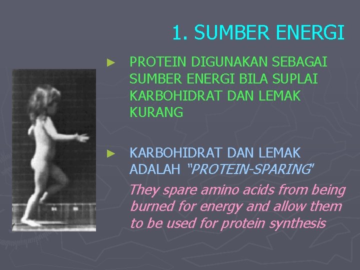 1. SUMBER ENERGI ► PROTEIN DIGUNAKAN SEBAGAI SUMBER ENERGI BILA SUPLAI KARBOHIDRAT DAN LEMAK