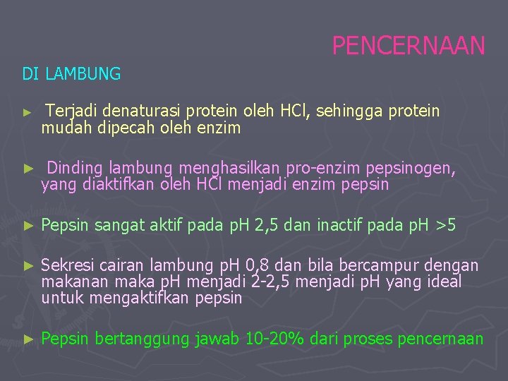 PENCERNAAN DI LAMBUNG ► Terjadi denaturasi protein oleh HCl, sehingga protein mudah dipecah oleh