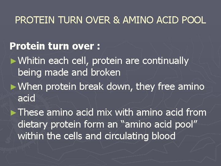 PROTEIN TURN OVER & AMINO ACID POOL Protein turn over : ► Whitin each