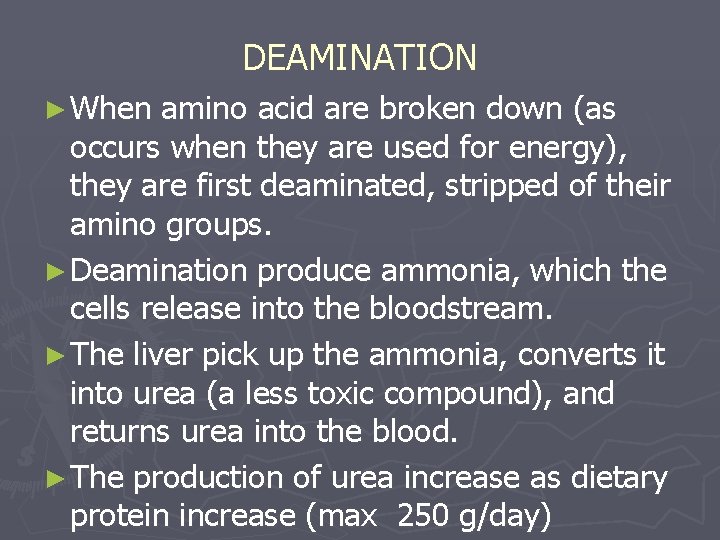 DEAMINATION ► When amino acid are broken down (as occurs when they are used