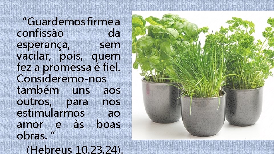“Guardemos firme a confissão da esperança, sem vacilar, pois, quem fez a promessa é