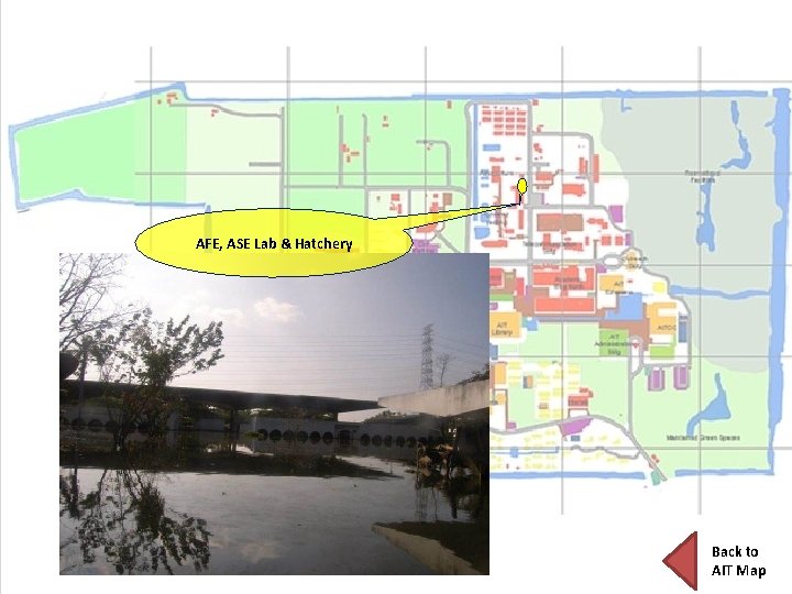 AFE, ASE Lab & Hatchery Back to AIT Map 