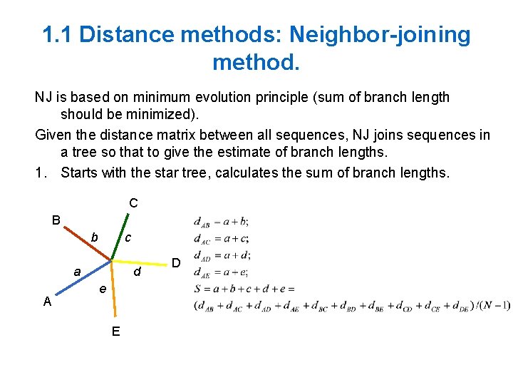 1. 1 Distance methods: Neighbor-joining method. NJ is based on minimum evolution principle (sum