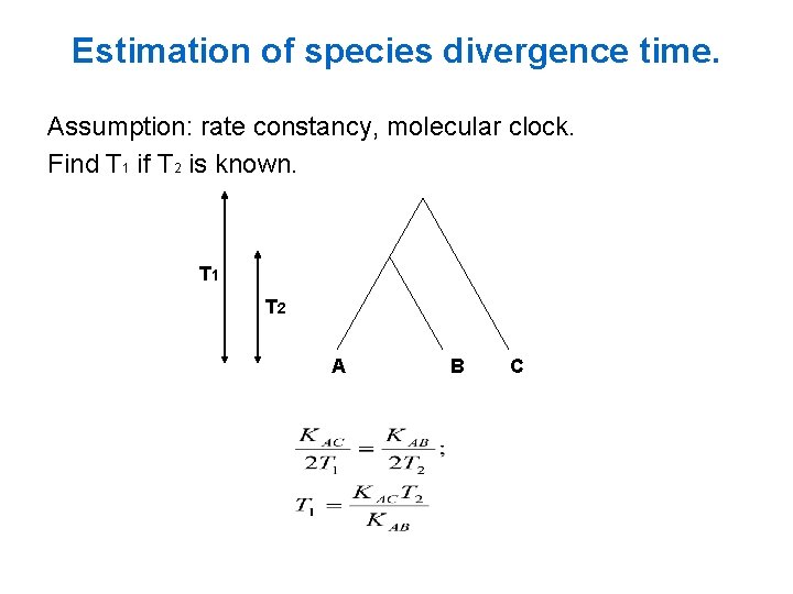 Estimation of species divergence time. Assumption: rate constancy, molecular clock. Find T 1 if