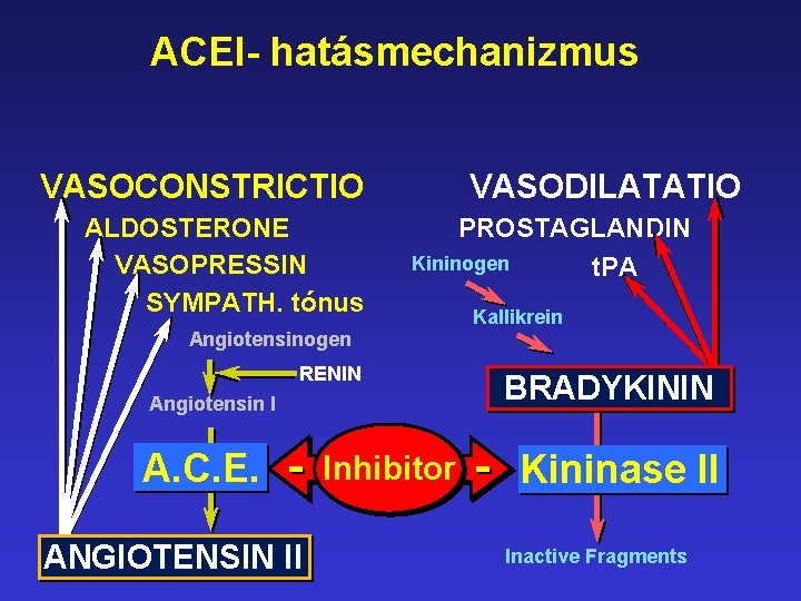 ACEI- hatásmechanizmus VASOCONSTRICTIO ALDOSTERONE VASOPRESSIN SYMPATH. tónus VASODILATATIO PROSTAGLANDIN Kininogen t. PA Angiotensinogen RENIN