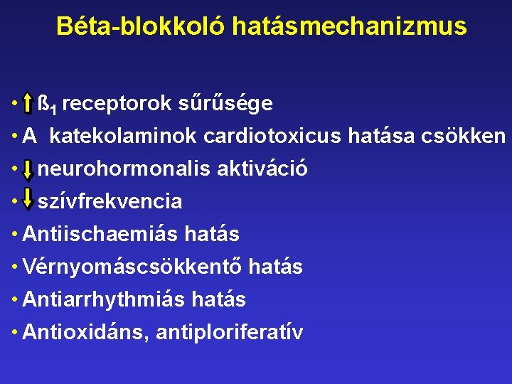 Béta-blokkoló hatásmechanizmus • ß 1 receptorok sűrűsége • A katekolaminok cardiotoxicus hatása csökken •