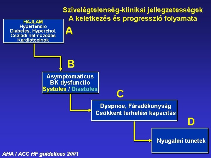 HAJLAM Hypertensio Diabetes, Hyperchol. Családi halmozódás Kardiotoxinok Szívelégtelenség-klinikai jellegzetességek A keletkezés és progresszió folyamata