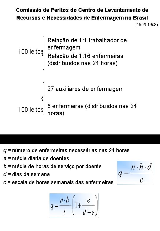 Comissão de Peritos do Centro de Levantamento de Recursos e Necessidades de Enfermagem no