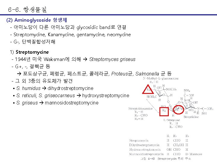 6 -6. 항생물질 (2) Aminoglycoside 항생제 - 아미노당이 다른 아미노당과 glycosidic band로 연결 -