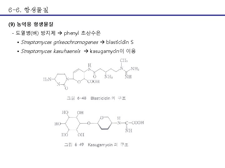 6 -6. 항생물질 (9) 농약용 항생물질 - 도열병(벼) 방지제 phenyl 초산수은 ▪ Streptomyces griseochromogenes