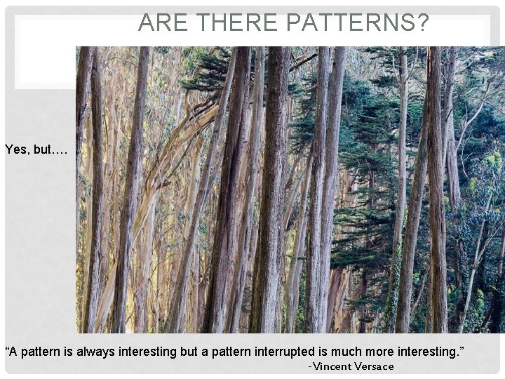 ARE THERE PATTERNS? Yes, but…. “A pattern is always interesting but a pattern interrupted