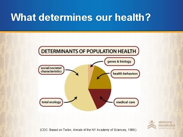 What determines our health? (CDC. Based on Tarlov, Annals of the NY Academy of