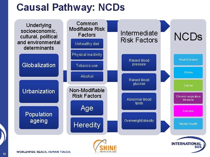 Causal Pathway: NCDs Underlying socioeconomic, cultural, political and environmental determinants Common Modifiable Risk Factors