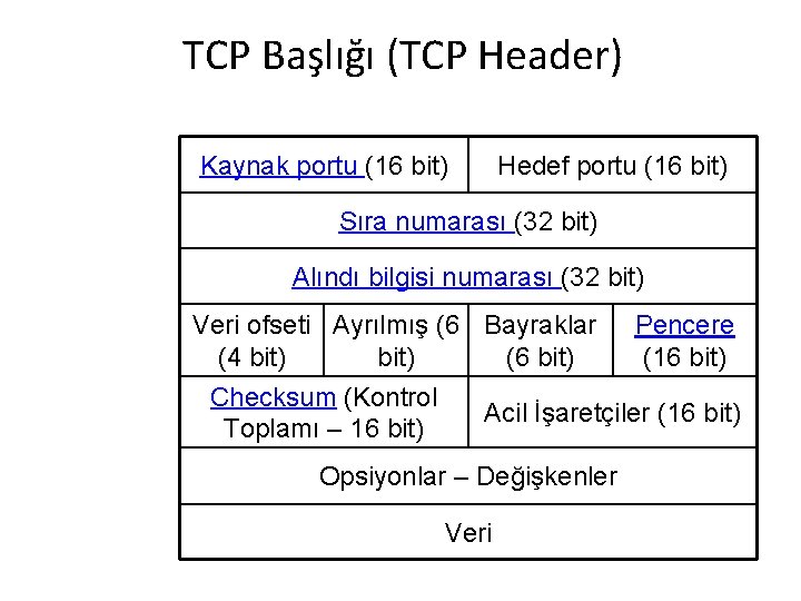 TCP Başlığı (TCP Header) Kaynak portu (16 bit) Hedef portu (16 bit) Sıra numarası