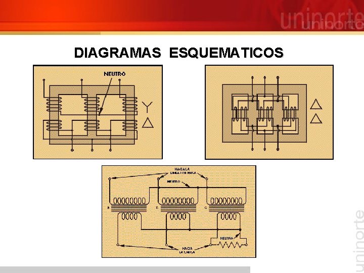 DIAGRAMAS ESQUEMATICOS 