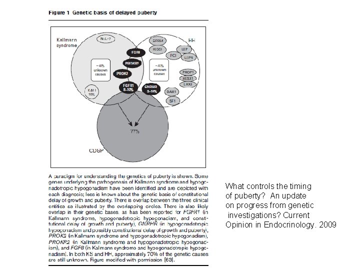 What controls the timing of puberty? An update on progress from genetic investigations? Current