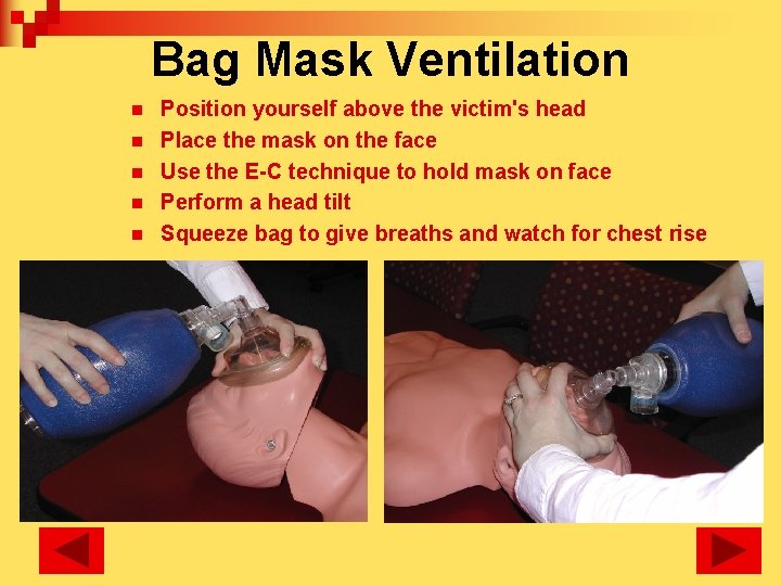 Bag Mask Ventilation n n Position yourself above the victim's head Place the mask