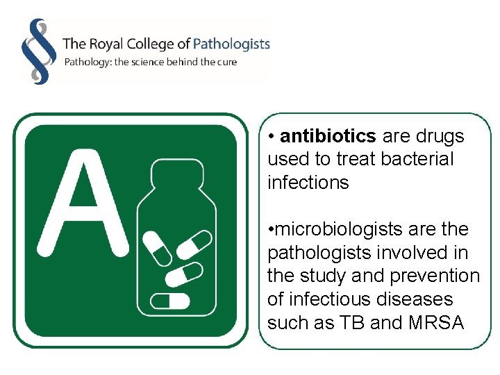  • antibiotics are drugs used to treat bacterial infections • microbiologists are the