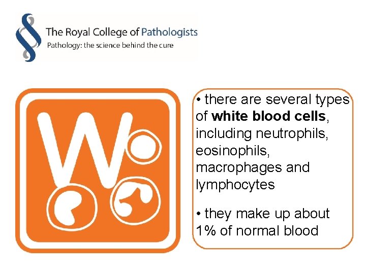  • there are several types of white blood cells, including neutrophils, eosinophils, macrophages