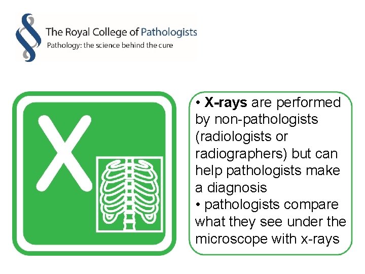  • X-rays are performed by non-pathologists (radiologists or radiographers) but can help pathologists
