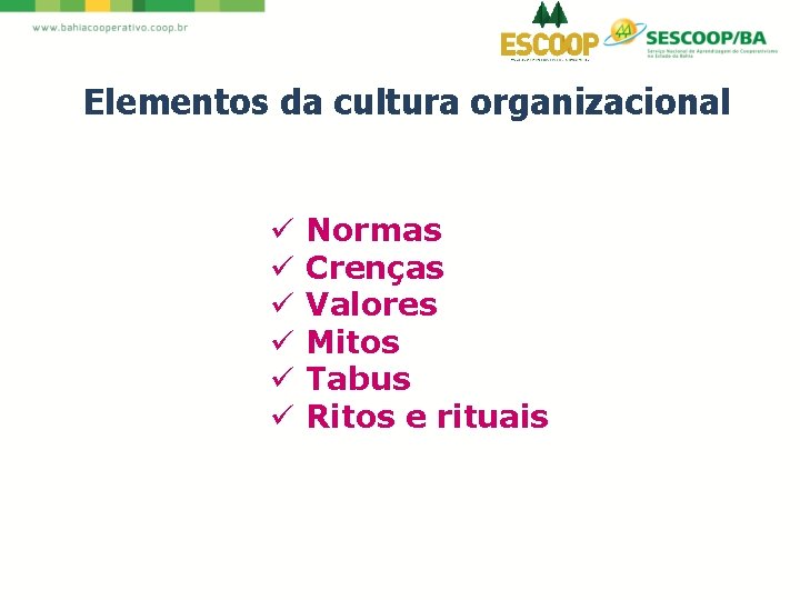 Elementos da cultura organizacional ü ü ü Normas Crenças Valores Mitos Tabus Ritos e