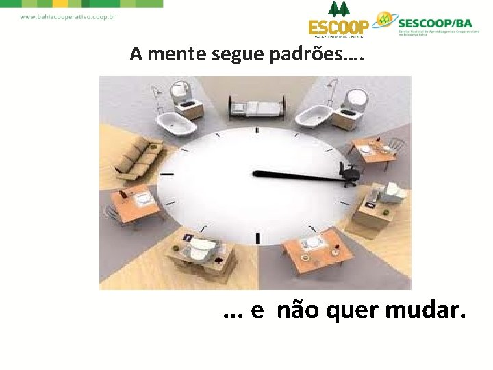 A mente segue padrões…. . e não quer mudar. 