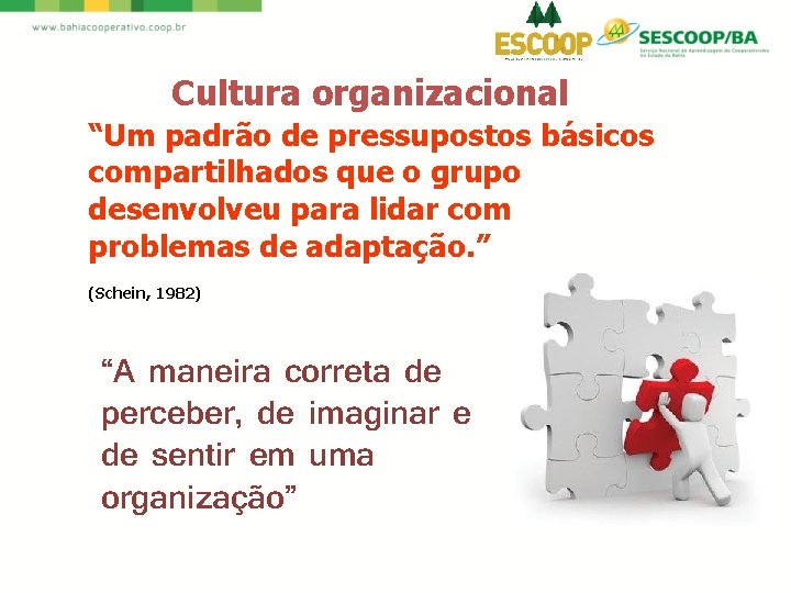 Cultura organizacional “Um padrão de pressupostos básicos compartilhados que o grupo desenvolveu para lidar