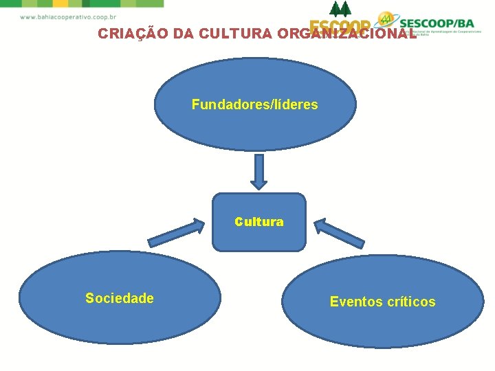 CRIAÇÃO DA CULTURA ORGANIZACIONAL Fundadores/líderes Cultura Sociedade Eventos críticos 