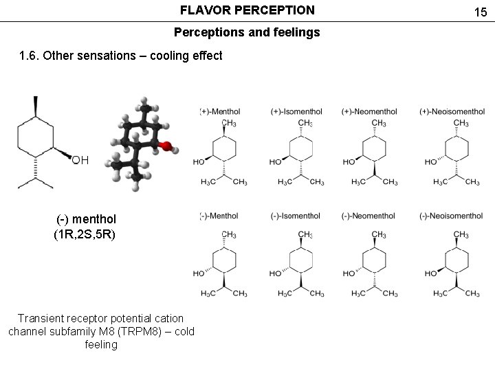 FLAVOR PERCEPTION Perceptions and feelings 1. 6. Other sensations – cooling effect (-) menthol