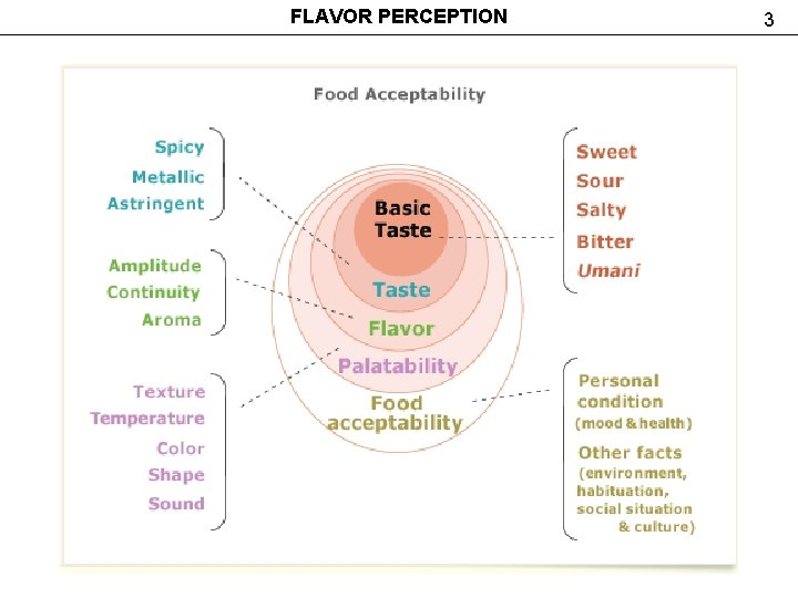 FLAVOR PERCEPTION 3 