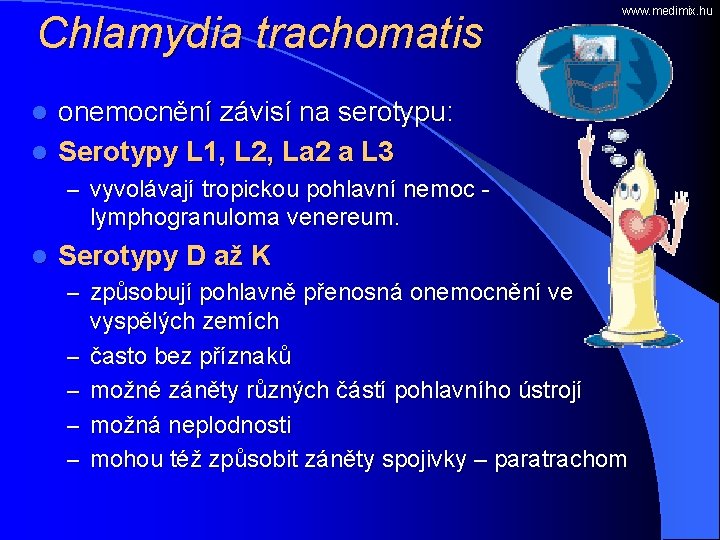 Chlamydia trachomatis www. medimix. hu onemocnění závisí na serotypu: l Serotypy L 1, L