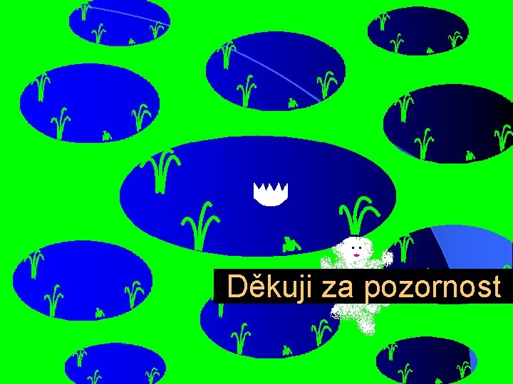 Děkuji za pozornost 