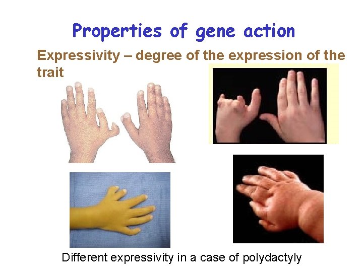 Properties of gene action Expressivity – degree of the expression of the trait Different