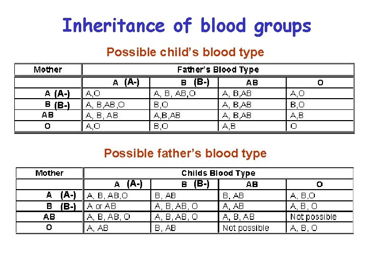 Inheritance of blood groups Possible child’s blood type (A-) (B-) Possible father’s blood type