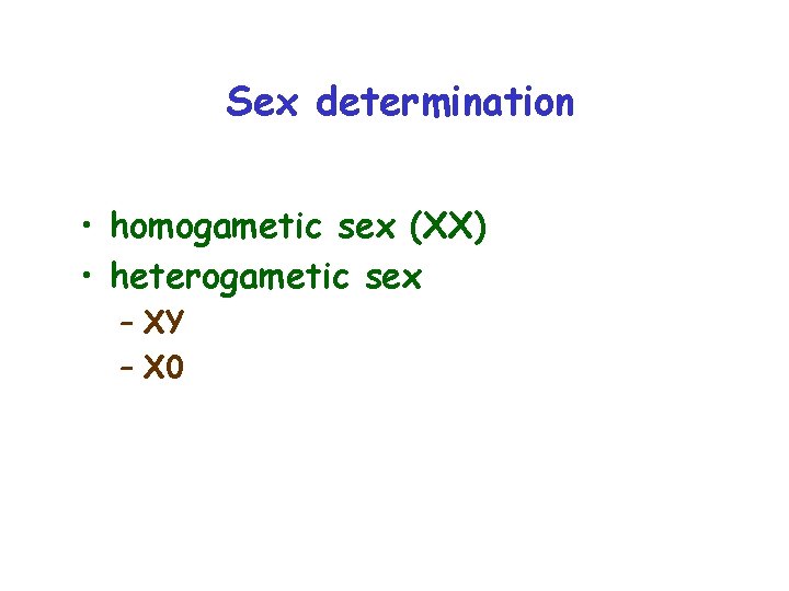 Sex determination • homogametic sex (XX) • heterogametic sex – XY – X 0