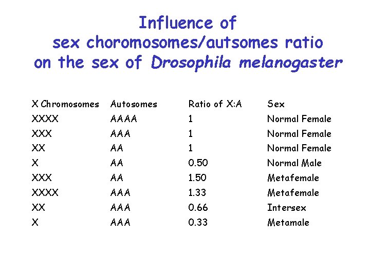 Influence of sex choromosomes/autsomes ratio on the sex of Drosophila melanogaster X Chromosomes Autosomes