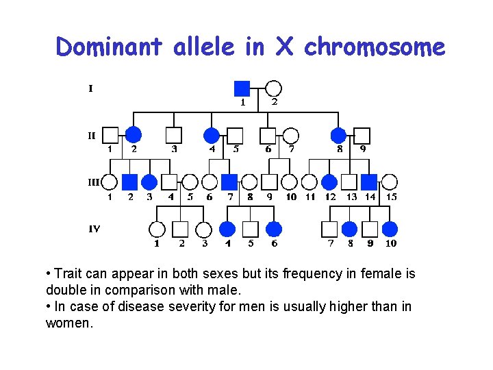 Dominant allele in X chromosome • Trait can appear in both sexes but its