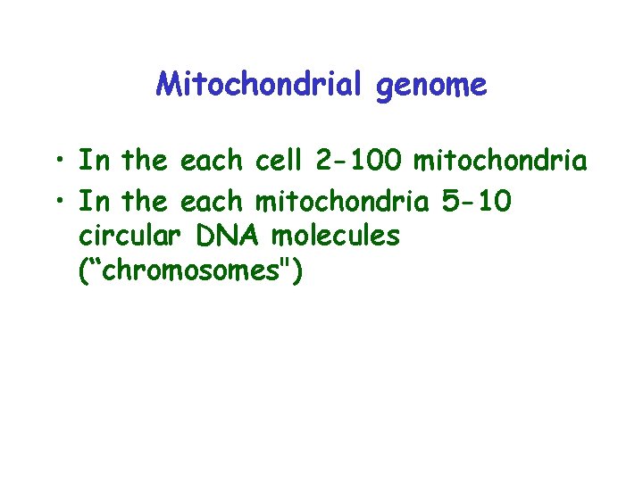 Mitochondrial genome • In the each cell 2 -100 mitochondria • In the each