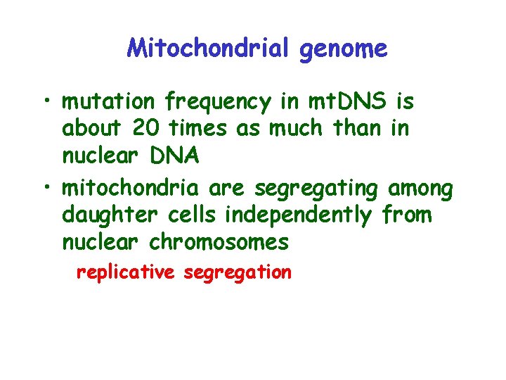 Mitochondrial genome • mutation frequency in mt. DNS is about 20 times as much