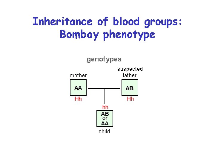 Inheritance of blood groups: Bombay phenotype 