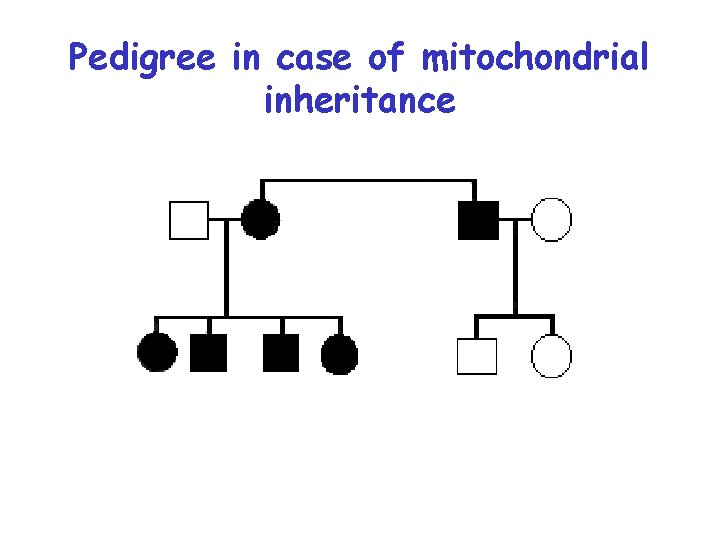 Pedigree in case of mitochondrial inheritance 