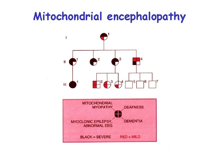 Mitochondrial encephalopathy 