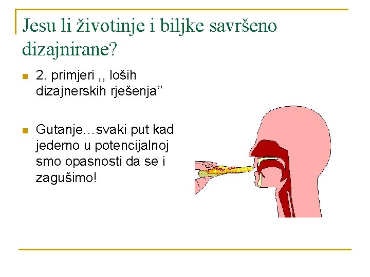 Jesu li životinje i biljke savršeno dizajnirane? n 2. primjeri , , loših dizajnerskih