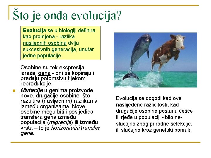 Što je onda evolucija? Evolucija se u biologiji definira kao promjena - razlika nasljednih