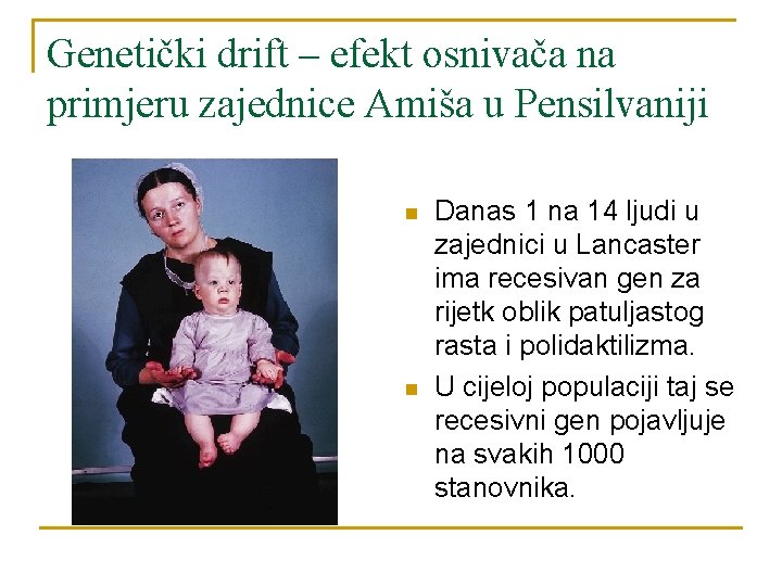 Genetički drift – efekt osnivača na primjeru zajednice Amiša u Pensilvaniji n n Danas